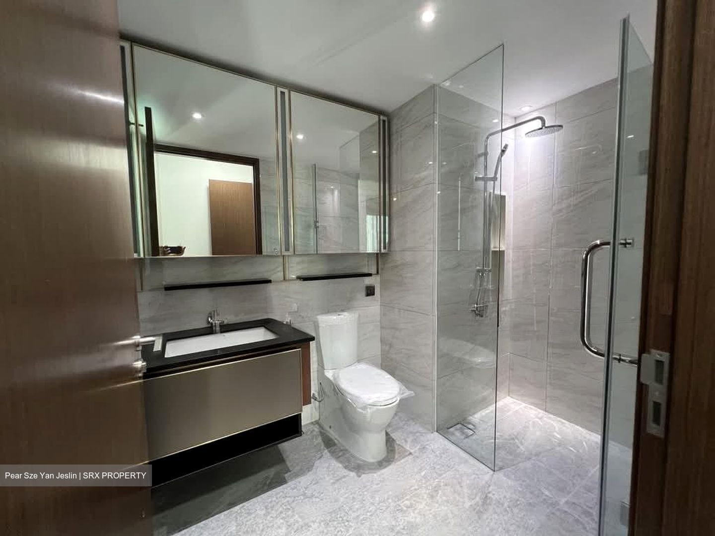 Normanton Park (D5), Apartment #578379811